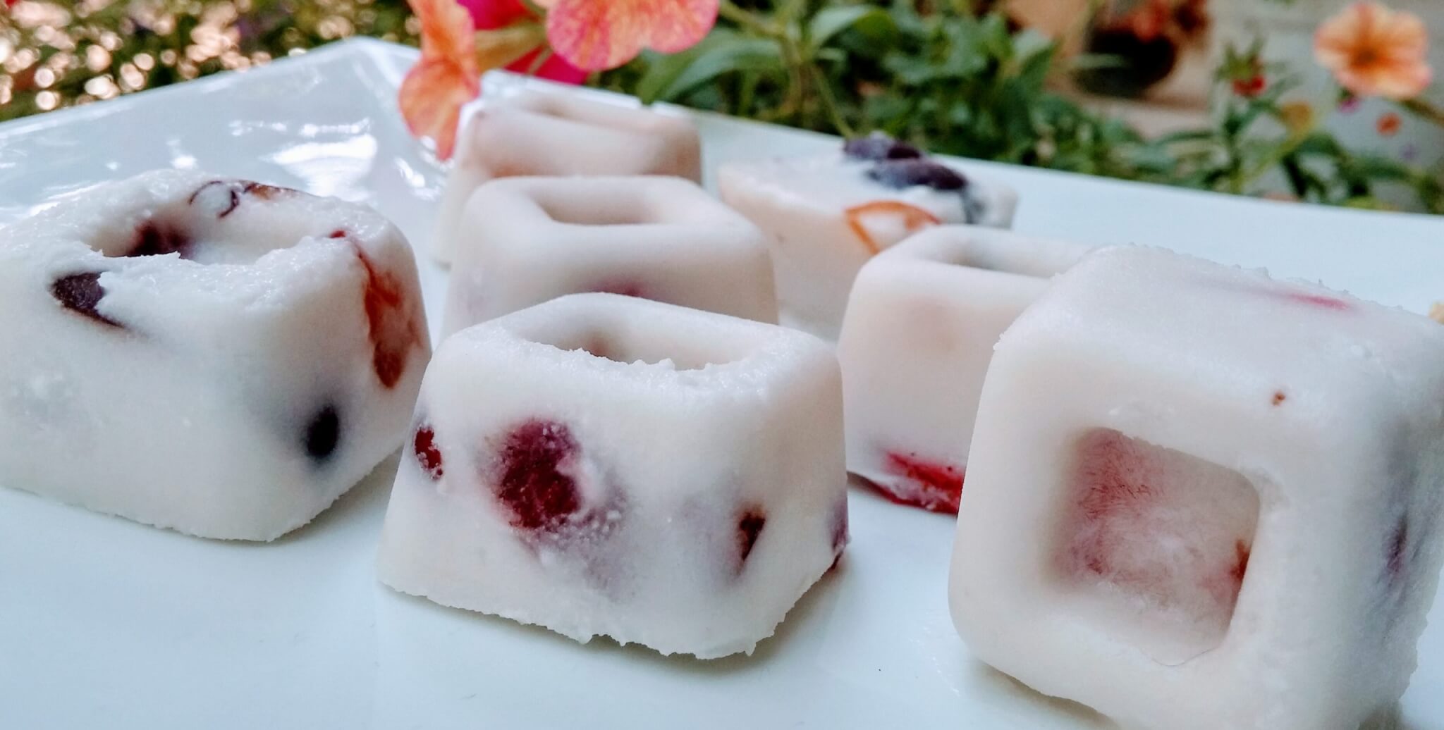 סורבה קוקוס