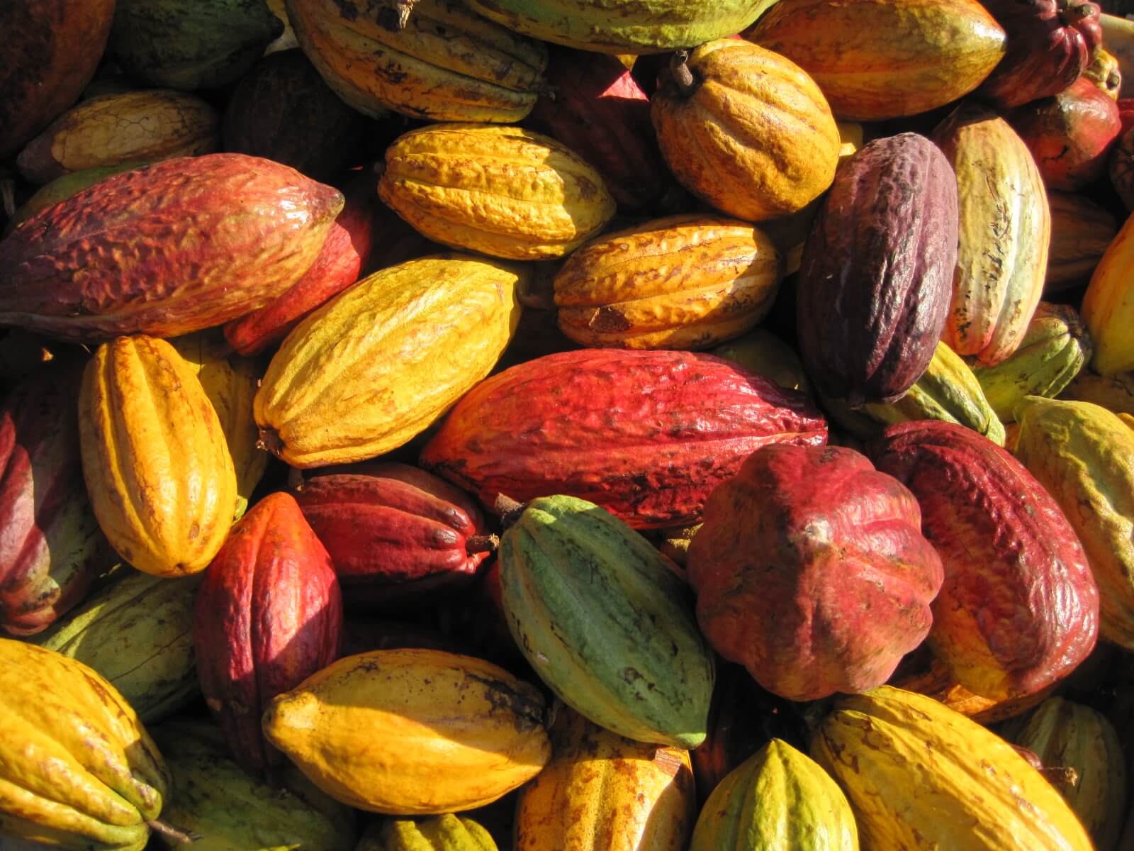 8287188894_e69b06b238_o