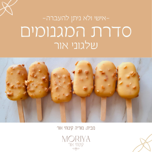 קורס שלגוני אור בסגנון מגנום